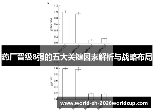 药厂晋级8强的五大关键因素解析与战略布局 药厂晋级8强的五大关键因素解析与战略布局